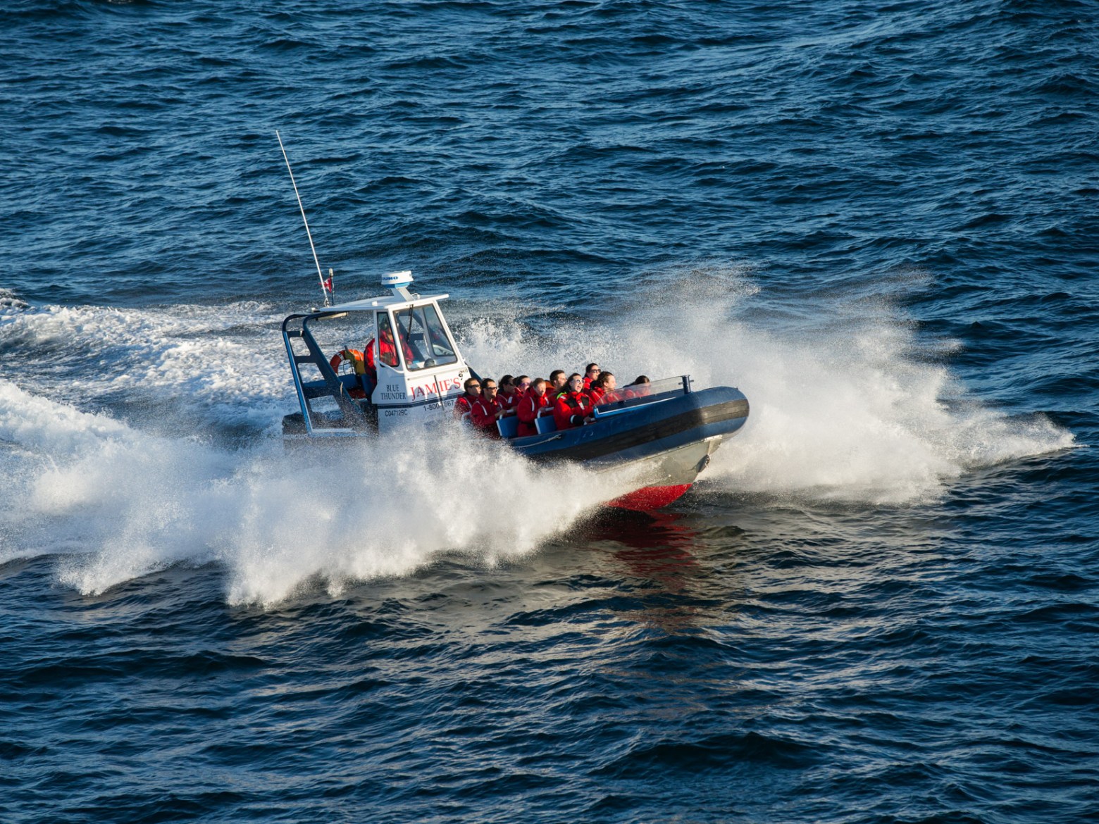 people riding on a whale watching zodiac