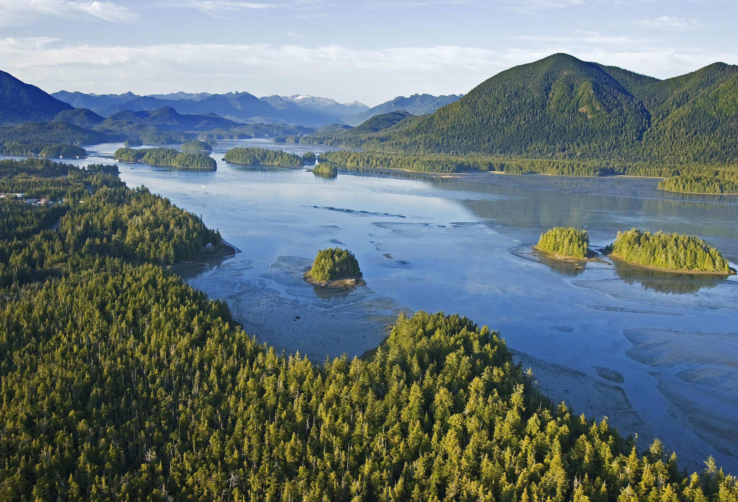 Tofino Cruiser - Bear Watching | Jamie's Whaling Station